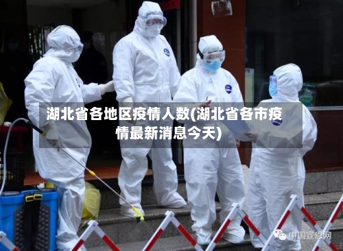 湖北省各地区疫情人数(湖北省各市疫情最新消息今天)-第2张图片