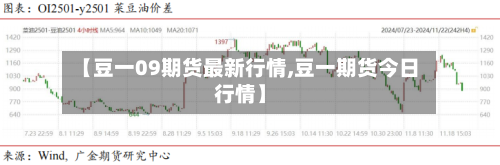 【豆一09期货最新行情,豆一期货今日行情】-第3张图片