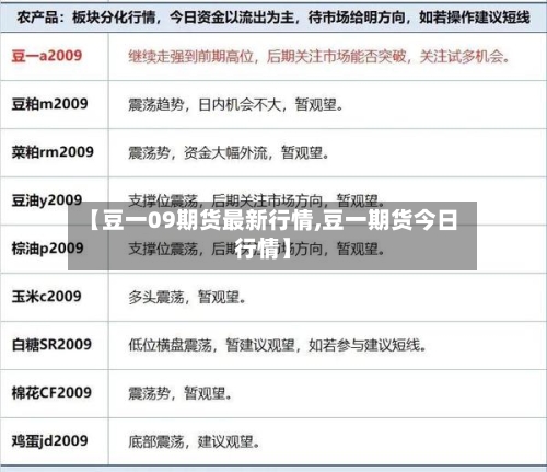 【豆一09期货最新行情,豆一期货今日行情】-第2张图片