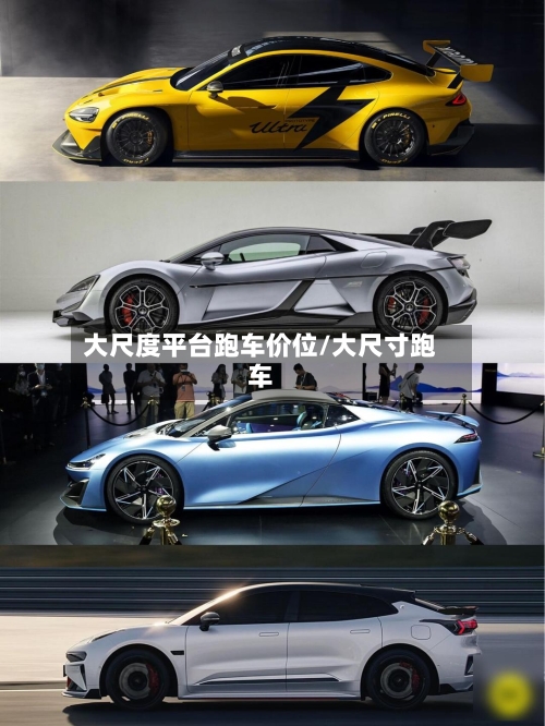 大尺度平台跑车价位/大尺寸跑车-第2张图片