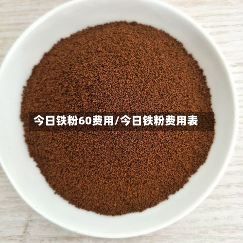 今日铁粉60费用/今日铁粉费用表
