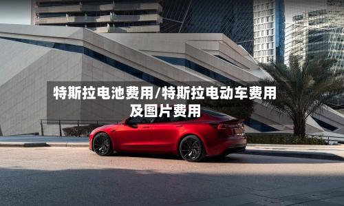 特斯拉电池费用/特斯拉电动车费用及图片费用