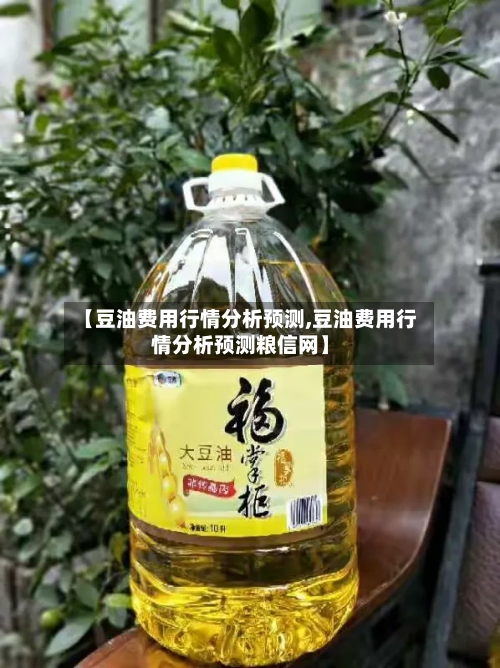 【豆油费用行情分析预测,豆油费用行情分析预测粮信网】
