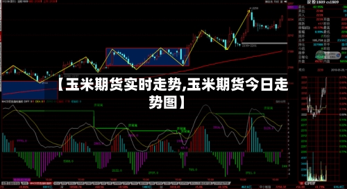【玉米期货实时走势,玉米期货今日走势图】-第3张图片