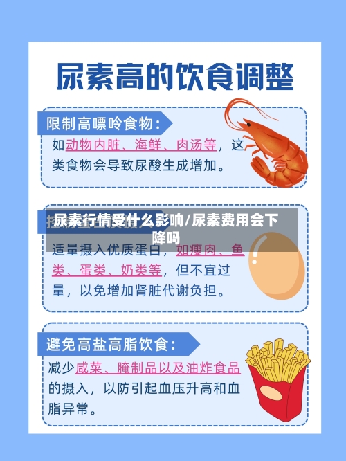 尿素行情受什么影响/尿素费用会下降吗-第2张图片