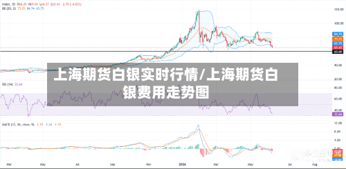 上海期货白银实时行情/上海期货白银费用走势图