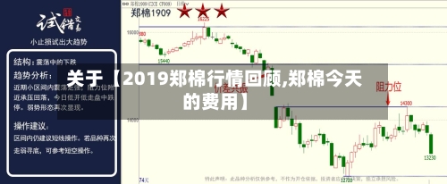 关于【2019郑棉行情回顾,郑棉今天的费用】-第3张图片