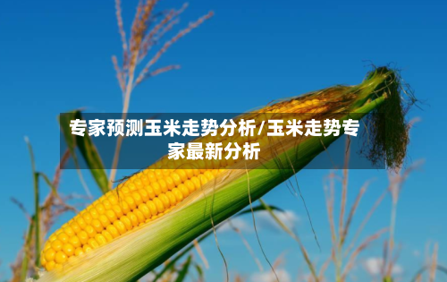 专家预测玉米走势分析/玉米走势专家最新分析