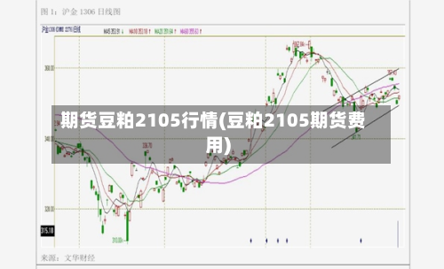 期货豆粕2105行情(豆粕2105期货费用)