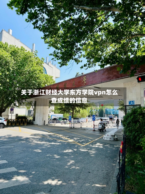 关于浙江财经大学东方学院vpn怎么查成绩的信息-第2张图片