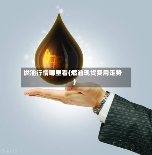 燃油行情哪里看(燃油现货费用走势)-第2张图片