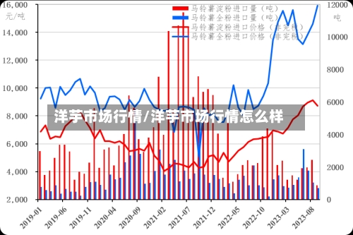 洋芋市场行情/洋芋市场行情怎么样