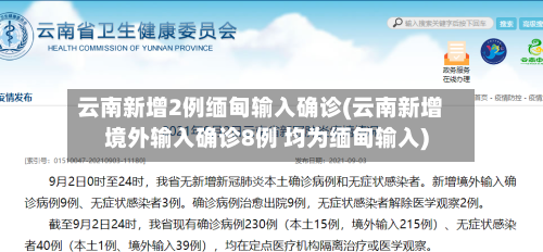 云南新增2例缅甸输入确诊(云南新增境外输入确诊8例 均为缅甸输入)-第2张图片