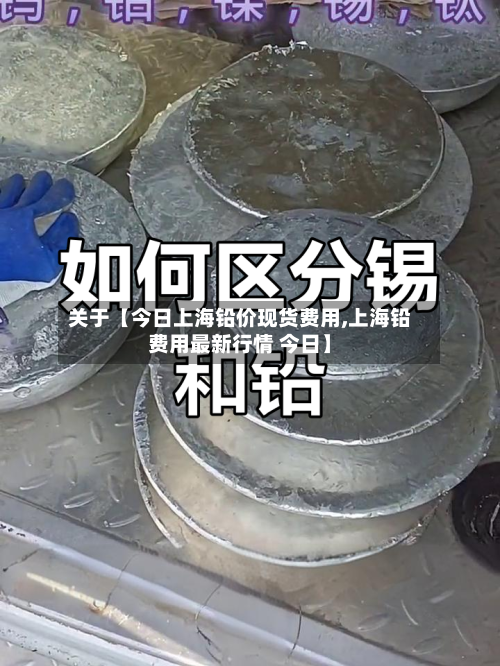 关于【今日上海铅价现货费用,上海铅费用最新行情 今日】-第2张图片
