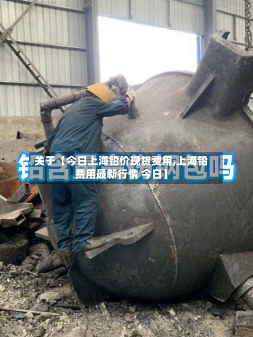 关于【今日上海铅价现货费用,上海铅费用最新行情 今日】