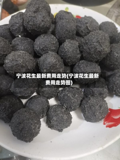 宁波花生最新费用走势(宁波花生最新费用走势图)