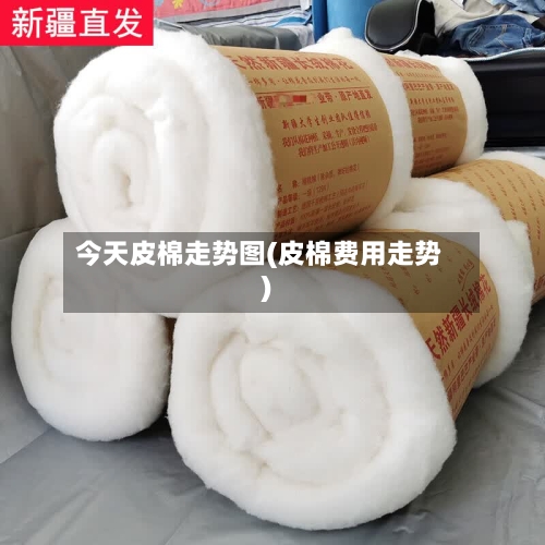 今天皮棉走势图(皮棉费用走势)