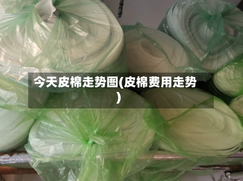 今天皮棉走势图(皮棉费用走势)-第3张图片