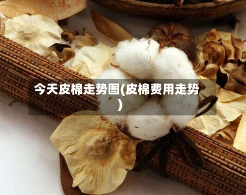 今天皮棉走势图(皮棉费用走势)-第2张图片