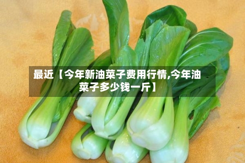 最近【今年新油菜子费用行情,今年油菜子多少钱一斤】-第2张图片