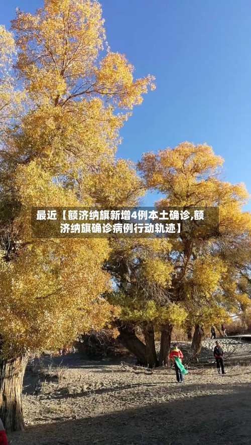 最近【额济纳旗新增4例本土确诊,额济纳旗确诊病例行动轨迹】-第2张图片