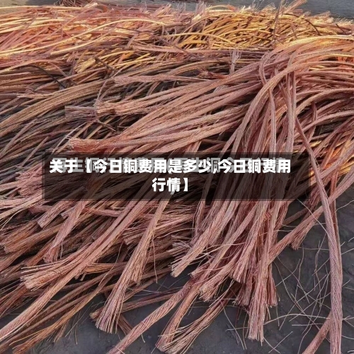 关于【今日铜费用是多少,今日铜费用行情】