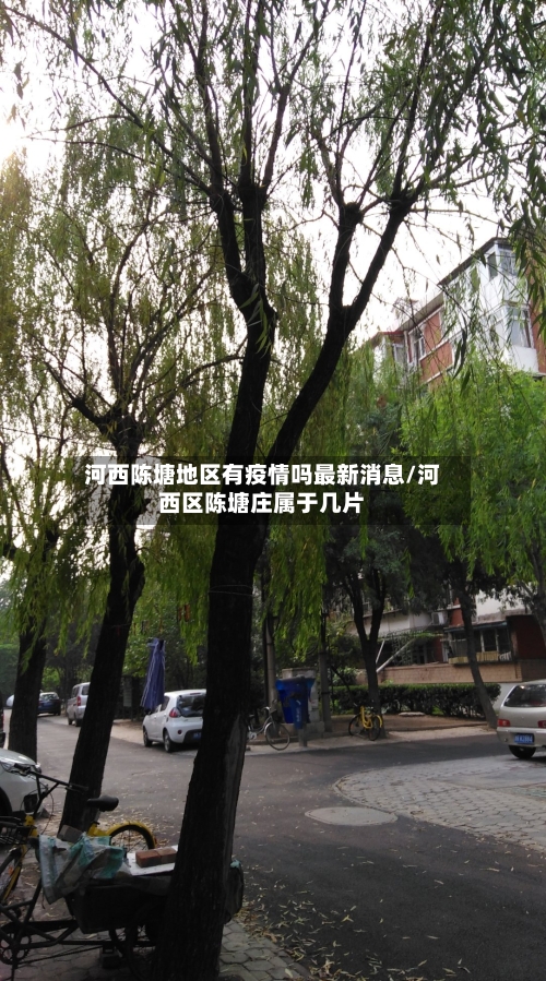 河西陈塘地区有疫情吗最新消息/河西区陈塘庄属于几片-第3张图片