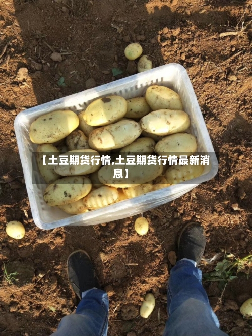 【土豆期货行情,土豆期货行情最新消息】