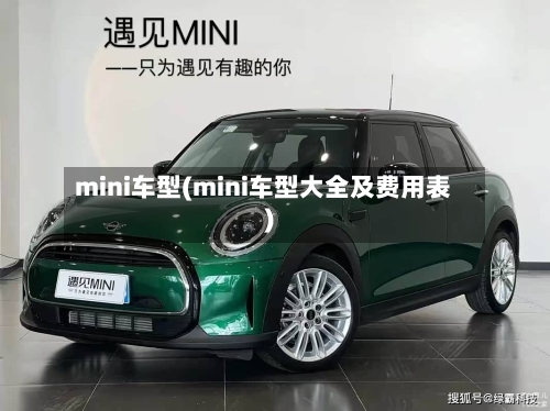 mini车型(mini车型大全及费用表)