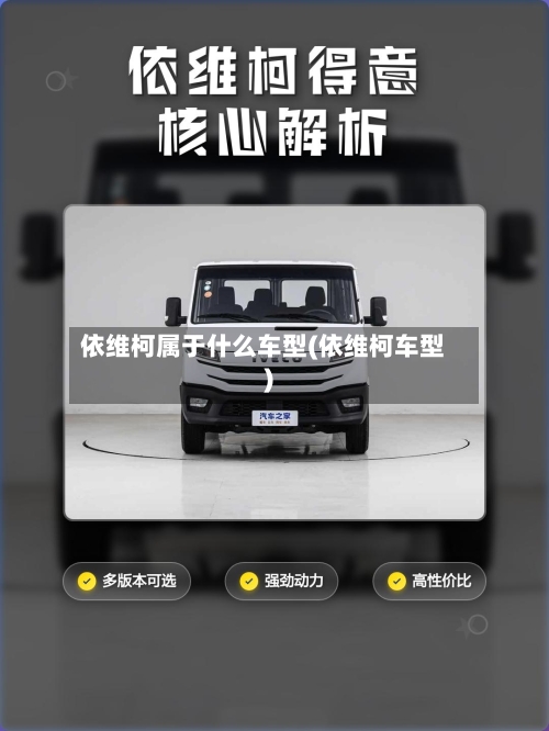 依维柯属于什么车型(依维柯车型)-第2张图片