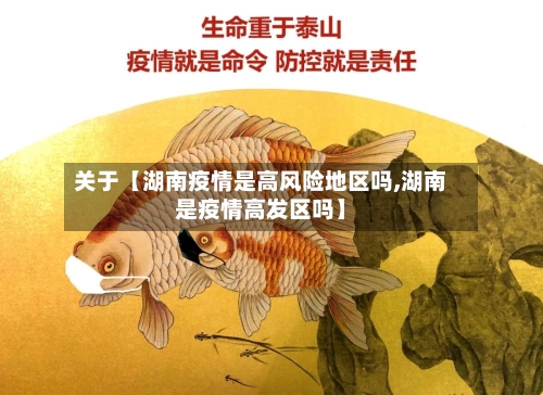 关于【湖南疫情是高风险地区吗,湖南是疫情高发区吗】