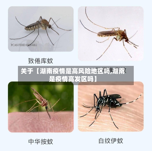 关于【湖南疫情是高风险地区吗,湖南是疫情高发区吗】-第2张图片