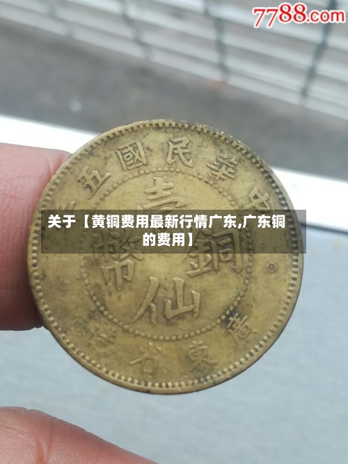 关于【黄铜费用最新行情广东,广东铜的费用】-第3张图片