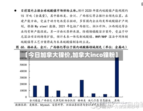 【今日加拿大镍价,加拿大inco镍粉】-第3张图片
