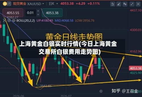 上海黄金白银实时行情(今日上海黄金交易所白银费用走势图)