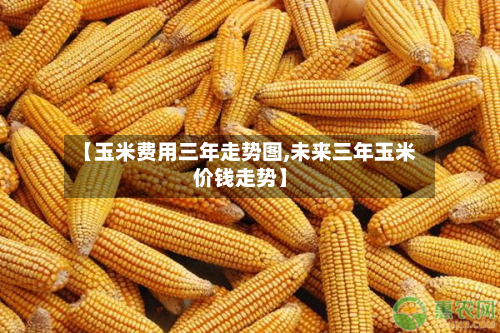 【玉米费用三年走势图,未来三年玉米价钱走势】-第2张图片