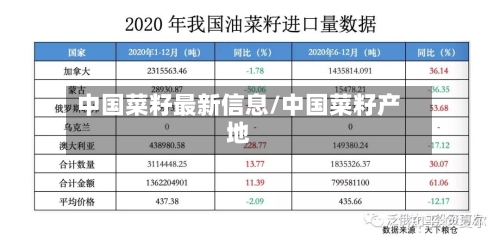 中国菜籽最新信息/中国菜籽产地-第2张图片