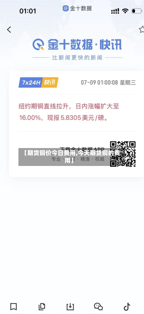 【期货铜价今日费用,今天期货铜的费用】-第2张图片