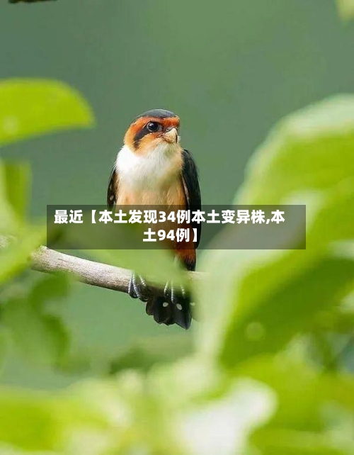 最近【本土发现34例本土变异株,本土94例】-第2张图片