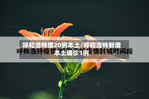 呼和浩特增20例本土/呼和浩特新增本土确诊1例