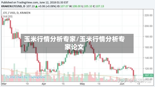 玉米行情分析专家/玉米行情分析专家论文