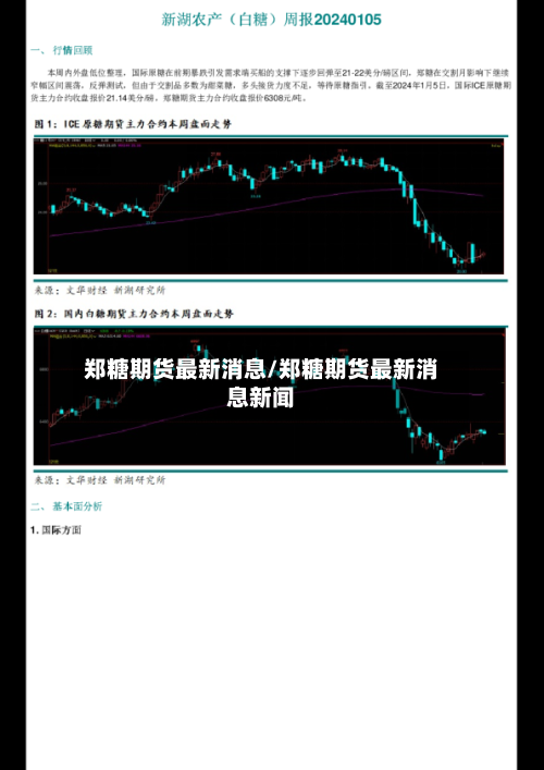 郑糖期货最新消息/郑糖期货最新消息新闻
