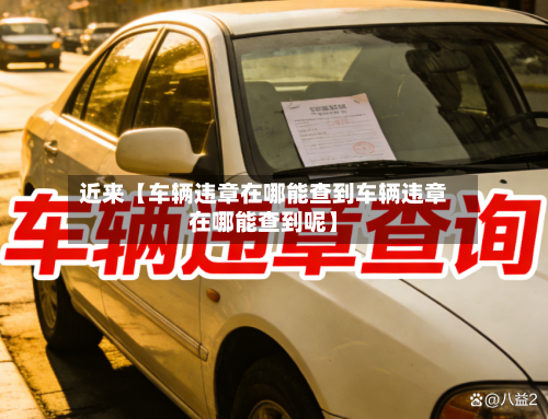 近来【车辆违章在哪能查到车辆违章在哪能查到呢】-第3张图片