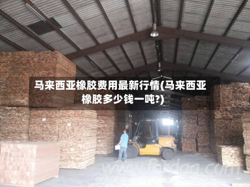 马来西亚橡胶费用最新行情(马来西亚橡胶多少钱一吨?)