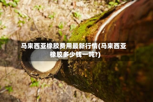 马来西亚橡胶费用最新行情(马来西亚橡胶多少钱一吨?)-第2张图片