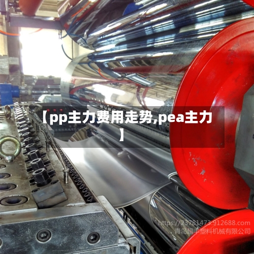 【pp主力费用走势,pea主力】