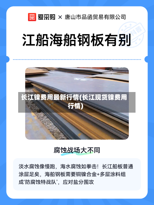 长江镍费用最新行情(长江现货镍费用行情)-第3张图片