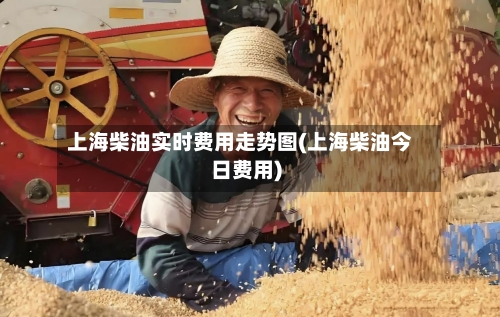上海柴油实时费用走势图(上海柴油今日费用)-第2张图片