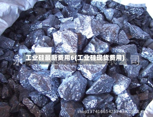 工业硅最新费用6(工业硅现货费用)