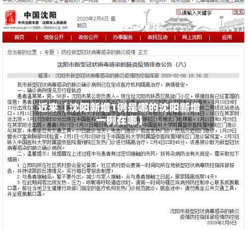 近来【沈阳新增1例是哪的沈阳新增一例在哪】-第3张图片